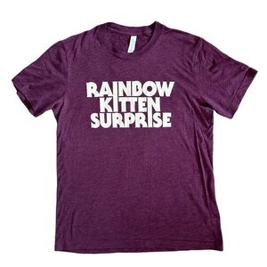 RKS band tee, Bella Canvas, Medium. Rainbow Kitten Surprise